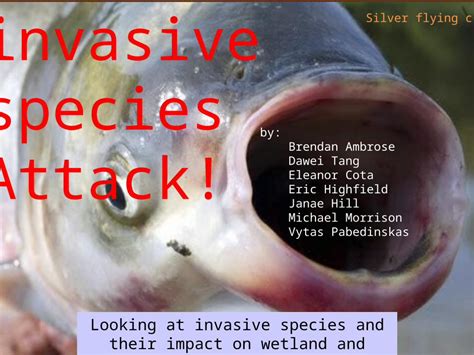 Invasive Attacks 